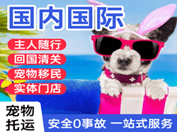 鄂托克旗乌兰航空物流国际宠物托运 【国